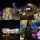 별빛정원 | 목포근교 가볼만한곳 해남 산이정원｜별빛정원페스타 야간 후기 (동계휴장 정보)