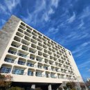 꿀잠호텔 | [제주 숙소] 한라산 완등 후 꿀잠 보장! 오션뷰가 예술인 ‘호텔 휘슬락 제주’ 숙박 후기 🌊🏨