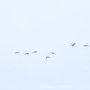 버들골 이길리 이미지