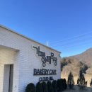 J.J목장 | 가평양떼목장ㅣ귀여운 동물 가득, 가평양떼목장 후기