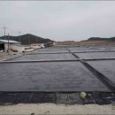 함평주포해수찜 이미지