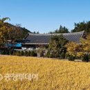 조선 말 고택서 맞이하는 만추의 향기‘이광명 고택 민박’ 이미지