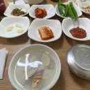 포항 현지인 맛집 수향회식당 후기 고추장물회 파는 곳
