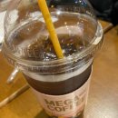 이아뷰 B 이미지