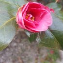 문화(중앙)경로당 이미지