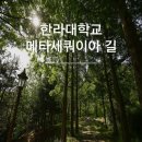 한라대학교 테니스장