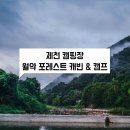 포레스트 월악 이미지