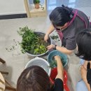 정통힐링존 이미지