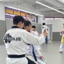 피어나라 태권도 이미지