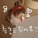 썸네일# - 남양주시 | 썸네일#