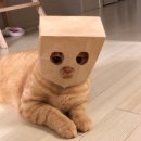 언제나만족 네이버블로그