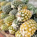 알찬농장 이미지