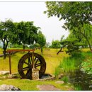 뿌리광장 이미지