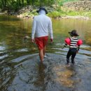 남창감나무집 이미지