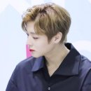 마카오박 이미지