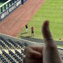 11650-17-135-9 | 창원 엔씨파크 야구장 외야 131구역 3열, 135구역 2열 시야 후기 | NC VS SSG 더블헤더 직관 후기