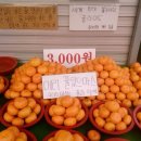 송하진 | 100만원은