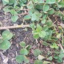 우리들카센타 이미지