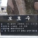 영일민속박물관 이미지