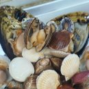 감성조개 이미지