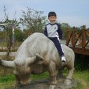 고싸움놀이 영상체험관 이미지