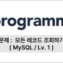 [SQL] 모든 레코드 조회하기(프로그래머스/MySQL)
