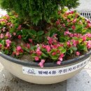 풀과 나무 의원 이미지