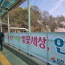 남동구청 정문 | 인천대공원 벚꽃 피크닉 돗자리 명당 주차 꿀팁 4월12일 현황