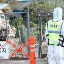 천수 농장 이미지