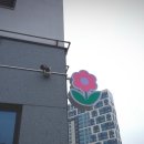 로웰플레르 이미지