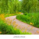 거창창포원 이미지