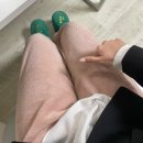 하룻강아지 | 2026 LH 청년인턴 서류합격&amp;면접&amp;추합 후기