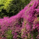 6621 | 대전 1박2일 근교 여행 , 대둔산 케이블카 - 진산메밀막국수 - 아르체마레 카페 추천 후기