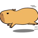 너티하우스 이미지
