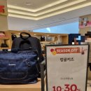 엠엘비키즈롯데백화점 | [내돈내산] 동탄 롯데백화점 캉골키즈 초등학교가방 구경하기