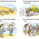 한국 속담을 잘못 이해하고 있는 러시아인들 이미지