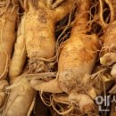 횡성인삼영농조합법인 이미지