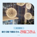 한터로 | 용인대형카페 한터로 라임그라스｜5000평 불멍카페에서 즐기는 부라타치즈 피자와 가을 신메뉴 밤라떼