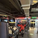 바이젝 월드 피트니스 이미지