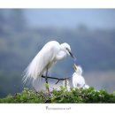 엄마밥줘 이미지