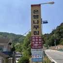 동충하초백숙 | 가평백숙 맛집 찾는다면 꼭 가봐야 할 은행나무집🍲 동충하초백숙 제대로 먹고 온 후기