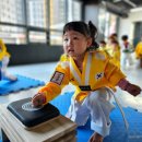 경희대 품태권도장 이미지