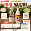 흥덕기념품 | 고창 지역 막걸리 선운사막걸리&흥덕 생막걸리 비교 후기