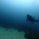 다이브스테이 이미지