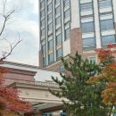 대야캐슬 | 서울 북부에서도 가기 좋은 워터파크, 의정부 아일랜드캐슬 준성수기 방문후기