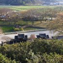 충정 오마이뉴스