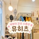 뮤히츠