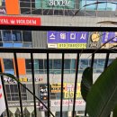 리포윅스 이미지