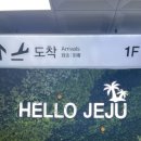 귤담집 | [제주] 귤 가득 2박 3일 제주 여행 🍊