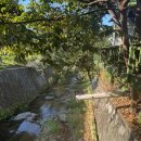 춘천 계곡민박 이미지